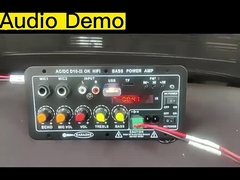 Płyta wzmacniacza D10-II do 4 Ohm 40W głośnik 110V 220V 12V 24V Subwoofer Audio Module