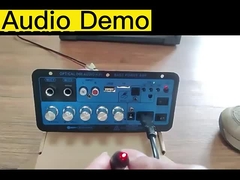 D60 50W Subwoofer Amplifier Board Bluetooth Audio Amplifier z dźwiękiem optycznym 12V24V220V