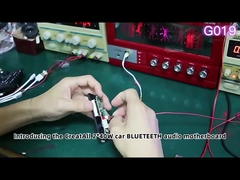 2*40W Płyty główne do nagrywania dźwięku samochodowego Płyty dekodujące bezstratne MP3 FLAC/APE Format audio