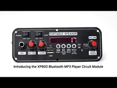 2x10W 7.4V Mikrofon Wóz głośnik Bezprzewodowe Opcje przewodowe Interfejs Karta dźwiękowa FM Radio BT Dekoduj