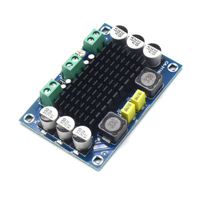 CA-3116D Oryginalna płytka wzmacniacza audio mono o mocy 100 W z chipem TPA3116D2 i wejściem 12–24 V