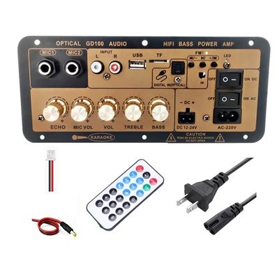100W BT Mono Amplifier Board z 2,0 kanałami dla domowego i samochodowego audio