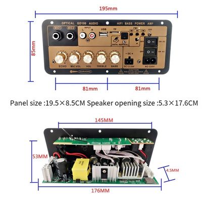 100W BT Mono Amplifier Board z 2,0 kanałami dla domowego i samochodowego audio