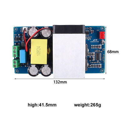 1000W Super Power Mono Digital Amplifier Board dla subwooferów z 2 kanałami