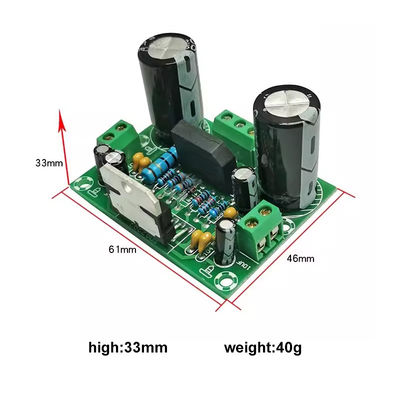 100W Mono Amplifier Board z podwójnym zasilaniem AC12-32V dla 2 kanałów